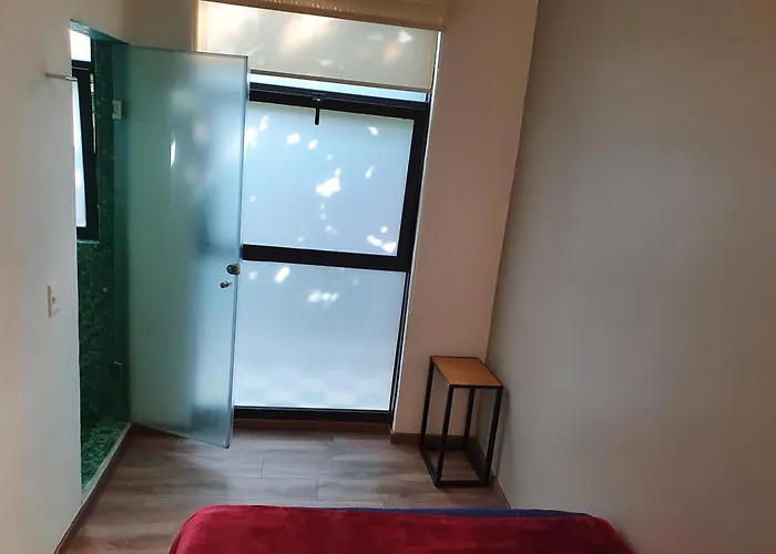 Mini Loft Buenavista 208